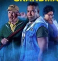 Film Sub Indo Don’t Mess with Grandma (2024)
